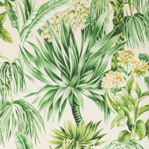 Caluya Paper Palm by Lee Jofa Wallcovering