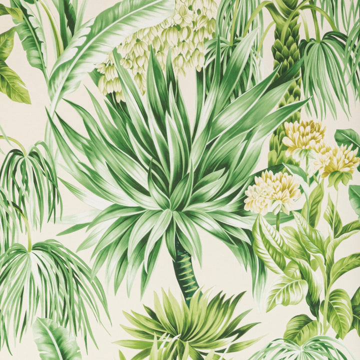 Caluya Paper Palm by Lee Jofa Wallcovering Lee Jofa Wallcovering Caluya Paper PalmWallcovering MINDORO WALLPAPER WOOD PULP - 45%;BINDER - 20%;MINERAL FILLERS - 20%;POLYESTER - 15% United Kingdom </p><p>Repeat: H: 27.5, V: 37.4 27.5 - Fabric Carolina -