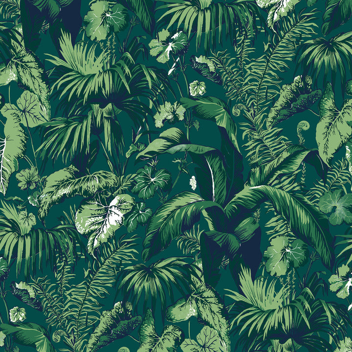 Feuillage Green by Brunschwig & Fils Wallcovering Brunschwig & Fils Wallcovering Feuillage GreenWallcovering MADELEINE CASTAING CELLULOSE - 72%;POLYESTER - 28% France </p><p>Repeat: H: 47.24, V: 61 47.24 - Fabric Carolina -