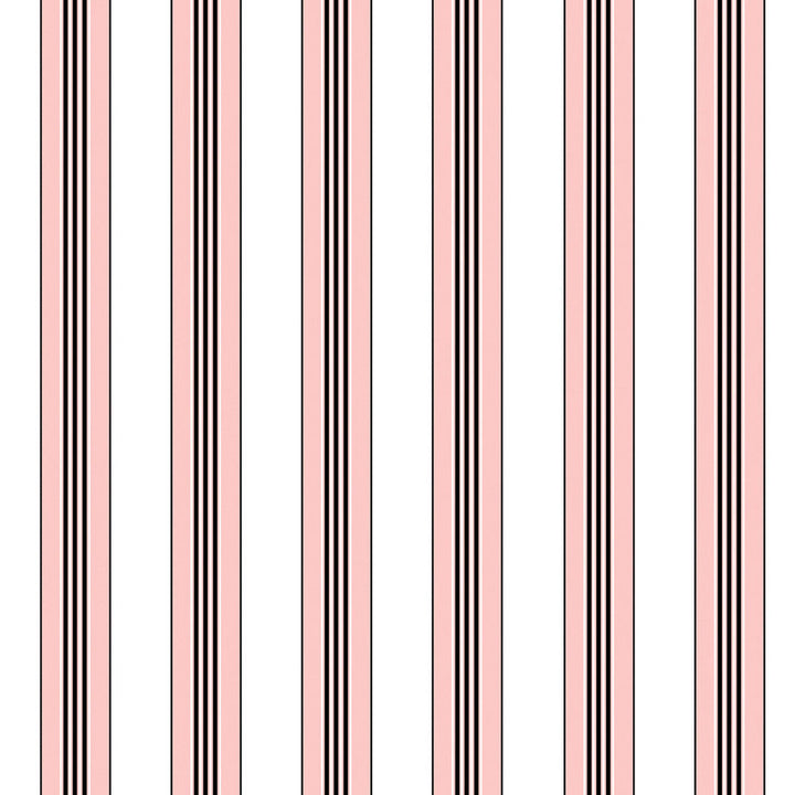 Rayure Lione Rose by Brunschwig & Fils Wallcovering Brunschwig & Fils Wallcovering Rayure Lione RoseWallcovering MADELEINE CASTAING CELLULOSE - 72%;POLYESTER - 28% France </p><p>Repeat: H: 7.87, V: 0 47.24 - Fabric Carolina -