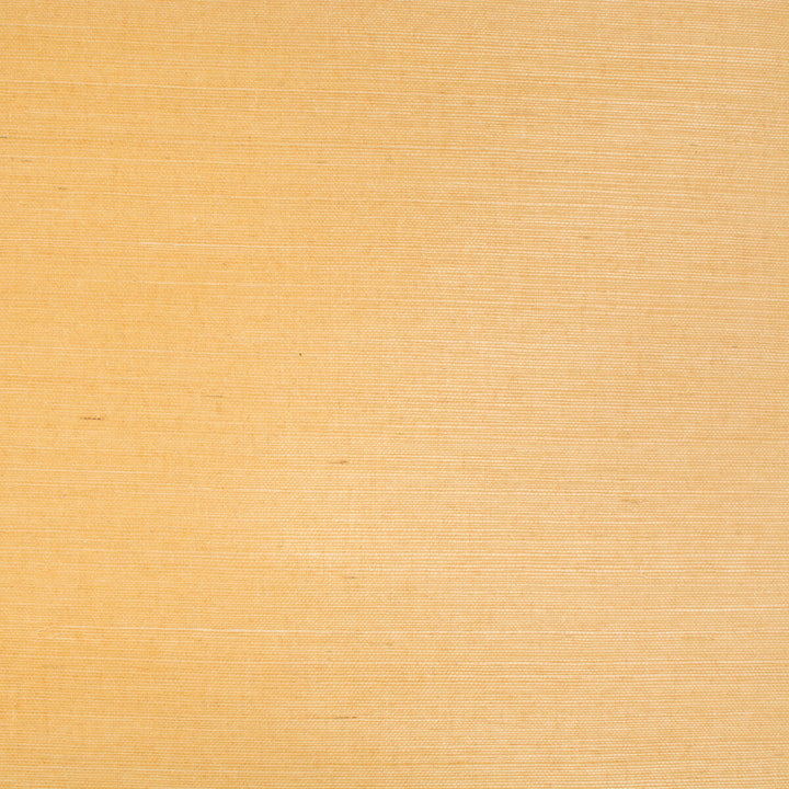 Bf Bf:: by Brunschwig & Fils Wallcovering Brunschwig & Fils Wallcovering Bf Bf:: Wallcovering SISAL - 100% Japan </p><p>Repeat: H: , V: 36 - Fabric Carolina -