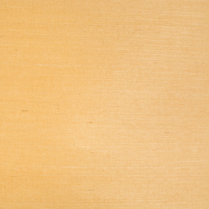 Bf Bf:: by Brunschwig & Fils Wallcovering Brunschwig & Fils Wallcovering Bf Bf:: Wallcovering SISAL - 100% Japan </p><p>Repeat: H: , V: 36 - Fabric Carolina -