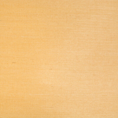P8015145.22.0 by Brunschwig & Fils Wallcovering Brunschwig & Fils Wallcovering P8015145.22.0Wallcovering SISAL - 100% Japan </p><p>Repeat: H: , V: 36 - Fabric Carolina -