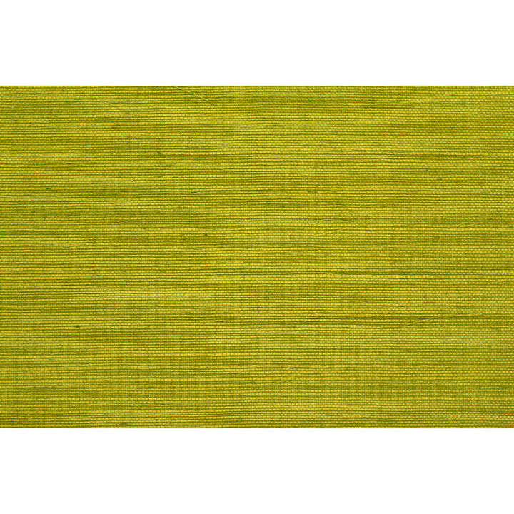 Bf Bf:: by Brunschwig & Fils Wallcovering Brunschwig & Fils Wallcovering Bf Bf:: Wallcovering SISAL - 100% Japan </p><p>Repeat: H: , V: 36 - Fabric Carolina -