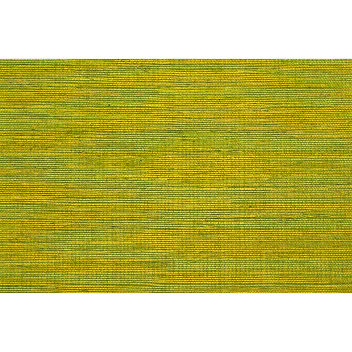 Bf Bf:: by Brunschwig & Fils Wallcovering Brunschwig & Fils Wallcovering Bf Bf:: Wallcovering SISAL - 100% Japan </p><p>Repeat: H: , V: 36 - Fabric Carolina -