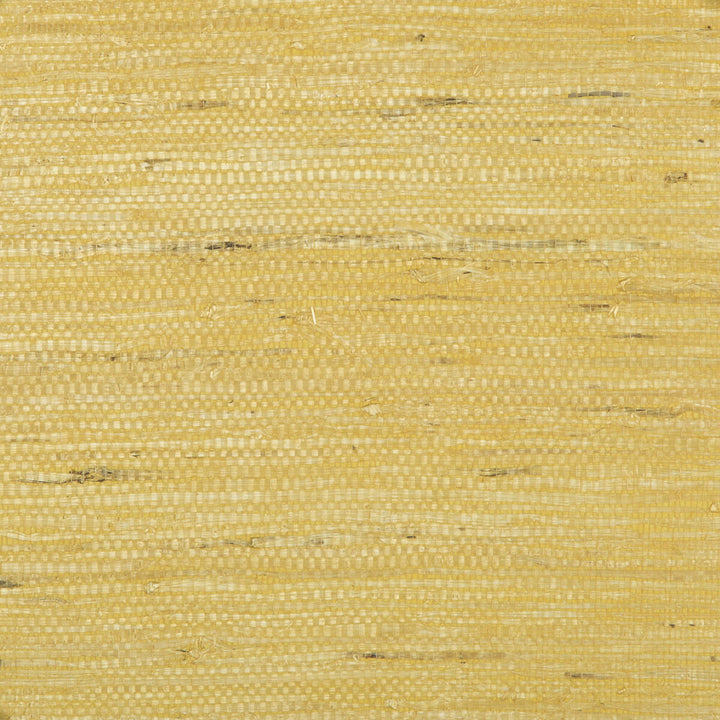 Kochi Gold by Brunschwig & Fils Wallcovering Brunschwig & Fils Wallcovering Kochi GoldWallcovering PAPER - 100% Japan </p><p>Repeat: H: , V: 36 - Fabric Carolina -