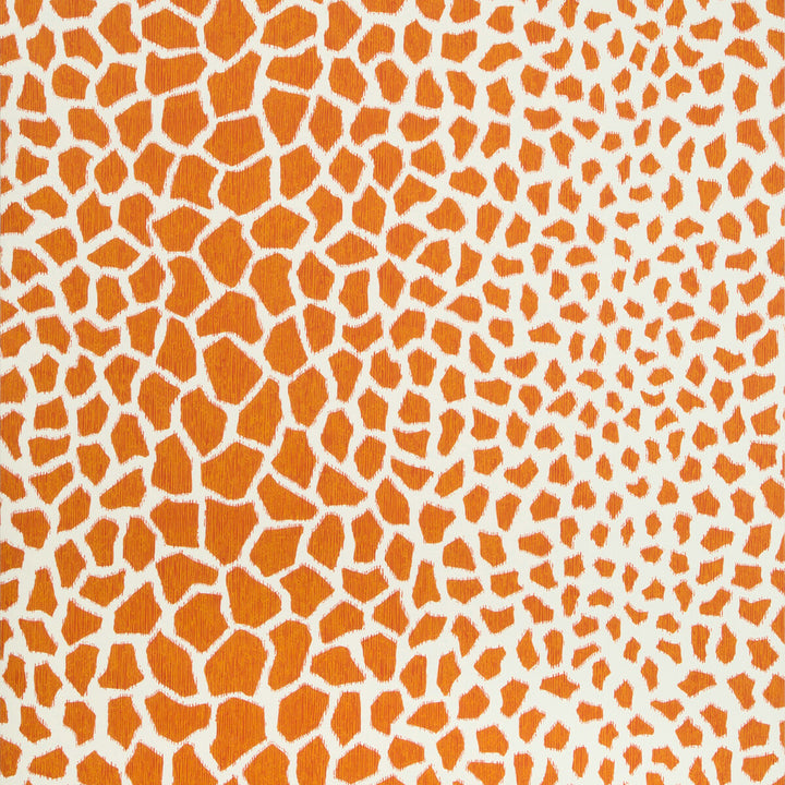 Jiraffa Persimmon by Brunschwig & Fils Wallcovering Brunschwig & Fils Wallcovering Jiraffa PersimmonWallcovering VOLUME 57 PAPER - 100% United States </p><p>Repeat: H: 27, V: 27 27 - Fabric Carolina -