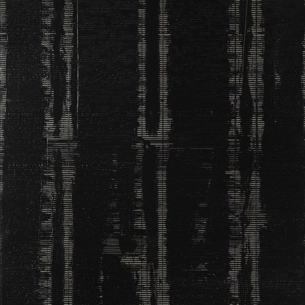 Les Plumes Iron by Brunschwig & Fils Wallcovering Brunschwig & Fils Wallcovering Les Plumes IronWallcovering LES ENSEMBLIERS WALLPAPERS MYLAR - 100% United States </p><p>Repeat: H: 27, V: 27 27 - Fabric Carolina -