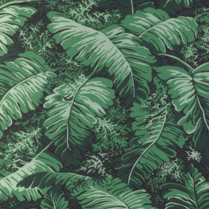 Feuilles De Bananier Ivy P8023109.33.0 by Brunschwig & Fils Wallcovering