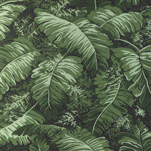 Feuilles De Bananier Leaf P8023109.3.0 by Brunschwig & Fils Wallcovering