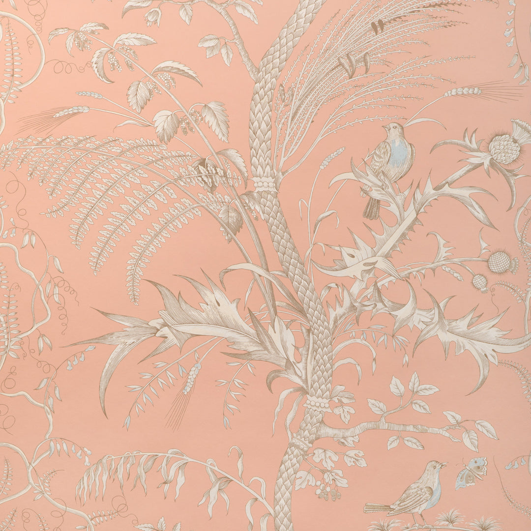 Peach By Brunschwig & Fils Wallcovering