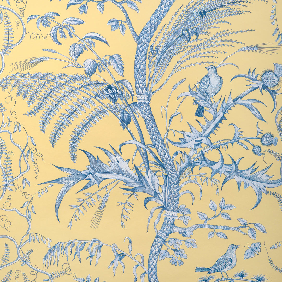 Sun By Brunschwig & Fils Wallcovering
