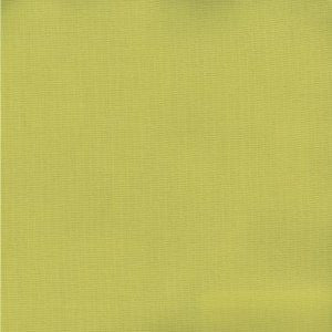 Pablo Acid Green 244 by Norbar Fabric PABLO 100% COTTON TURKMANISTAN 54" - Fabric Carolina -