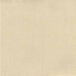 Pablo Canvas 106 by Norbar Fabric