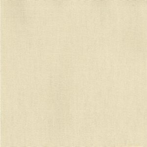 Pablo Ecru 111 by Norbar Fabric PABLO 100% COTTON TURKMANISTAN 54" - Fabric Carolina -