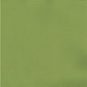 Pablo Fern 228 by Norbar Fabric
