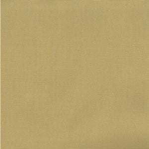 Pablo Honey Beige 1 by Norbar Fabric PABLO 100% COTTON TURKMANISTAN 54" - Fabric Carolina -
