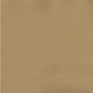 Pablo Latte 199 by Norbar Fabric