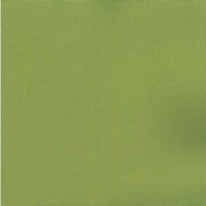 Pablo Leaf 280 by Norbar Fabric