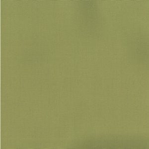 Pablo Pear 288 by Norbar Fabric