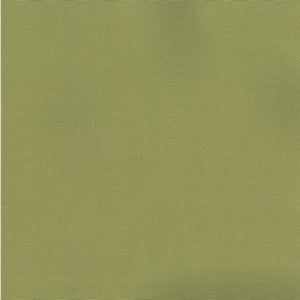 Pablo Pear 288 by Norbar Fabric
