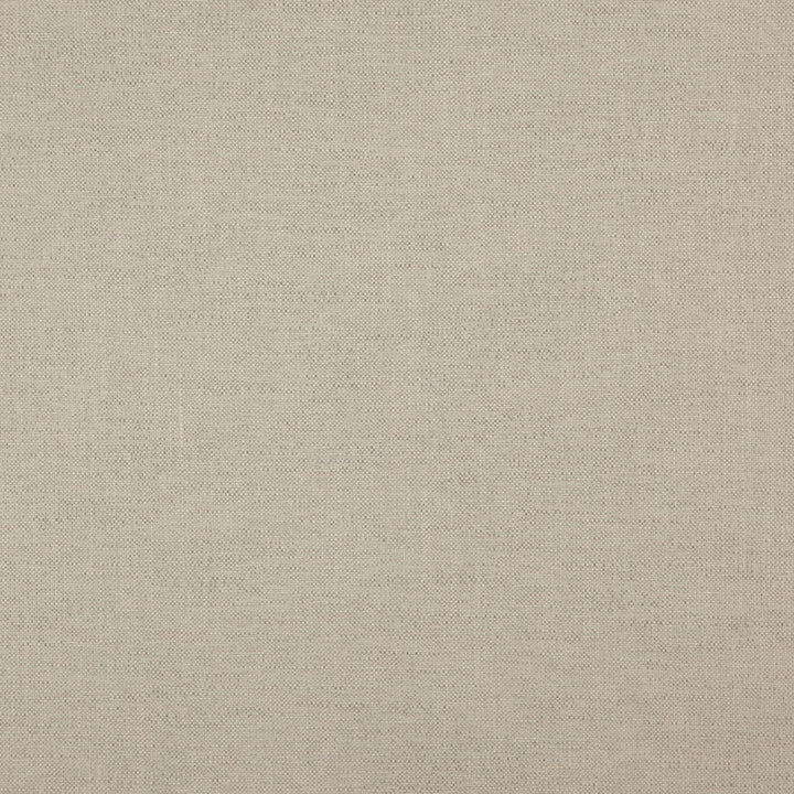 Pablo 33J7521 by JF Fabric Pablo Book 65% Viscose, 22% Cotton, 13% Linen India 30000 Horizontal: and Vertical: 54 - Fabric Carolina -