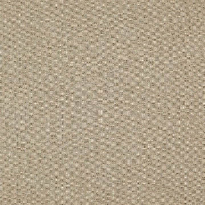 PABLO 34J7521 by JF Fabric Pablo Book 65% Viscose, 22% Cotton, 13% Linen India Horizontal: and Vertical: 54 - Fabric Carolina -