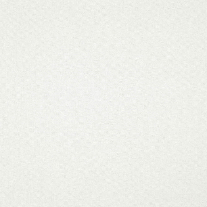 Pablo 91J7521 by JF Fabric Pablo Book 65% Viscose, 22% Cotton, 13% Linen India 30000 Horizontal: and Vertical: 54 - Fabric Carolina -