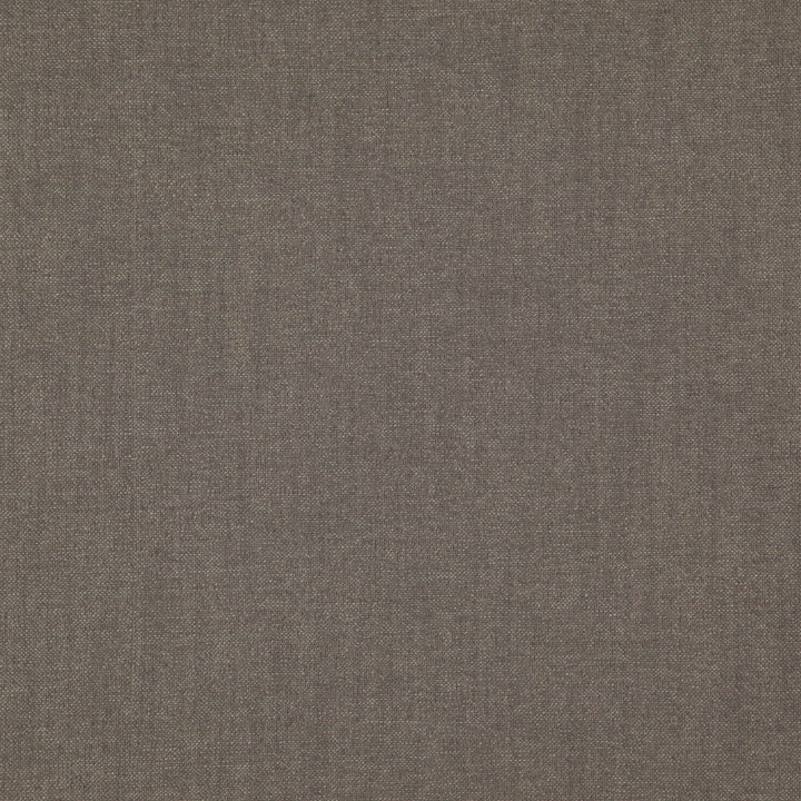 Pablo 97J7521 by JF Fabric Pablo Book 65% Viscose, 22% Cotton, 13% Linen India 30000 Horizontal: and Vertical: 54 - Fabric Carolina -