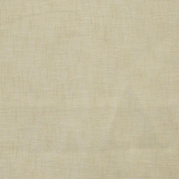 Polonius # 619 Latte by Maxwell Fabric Sheer Textures 100% POLYESTER TURKEY 118" - Fabric Carolina -