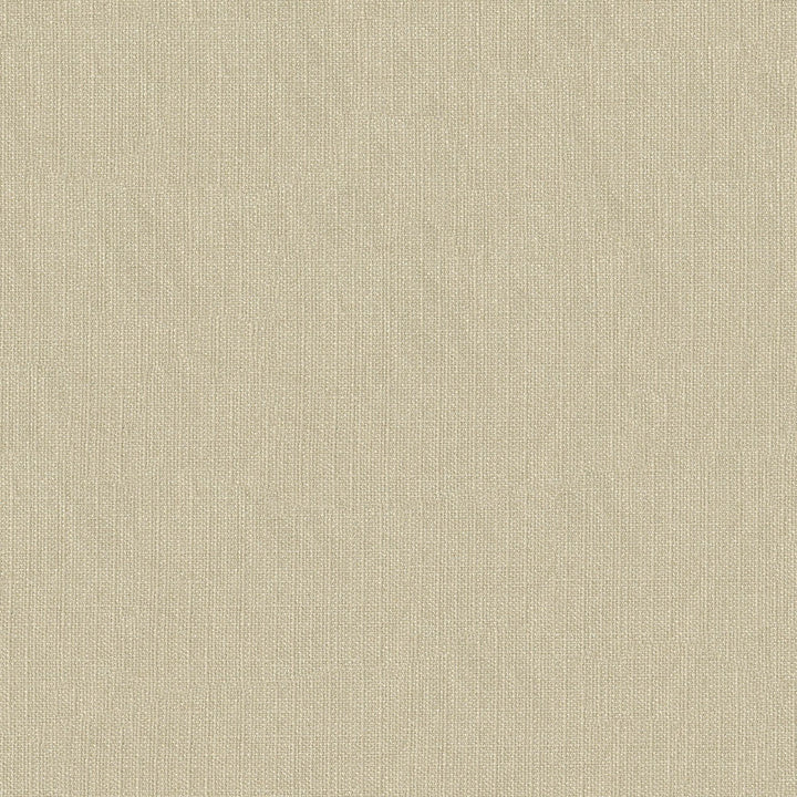 Stride 602 Buff by ABBEYSHEA Fabric 100% Polyester China 200,000 Double Rubs (Wyzenbeek) </p><p>Repeat: Horizontal: and Vertical: 57" (144 cm) - Fabric Carolina -
