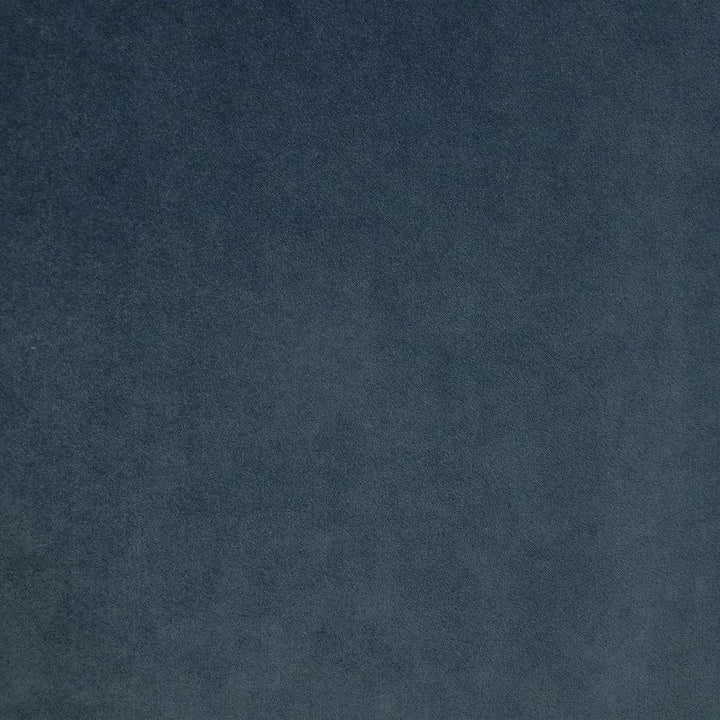 Palermo # 401 Dragonfly by Maxwell Fabric Home & Garden-Act Vii 76% RECYLCED POLYESTER/24% POLYESTER (PILE: 100% SOLUTION-DYED RECYCLED POLYESTER) TURKEY 55" - Fabric Carolina -