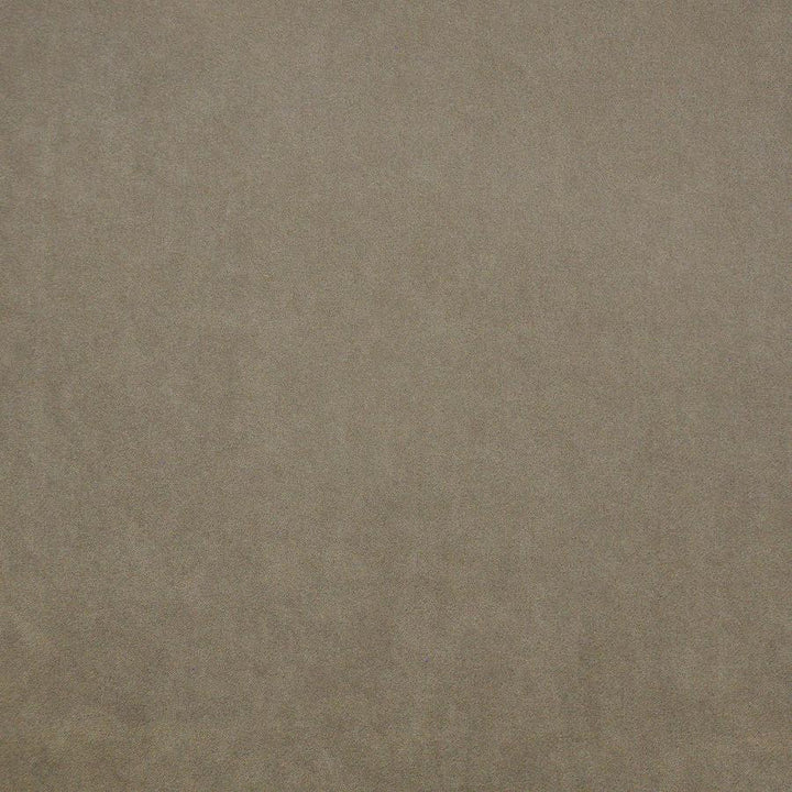Palermo # 405 Sand by Maxwell Fabric Home & Garden-Act Vii 76% RECYLCED POLYESTER/24% POLYESTER (PILE: 100% SOLUTION-DYED RECYCLED POLYESTER) TURKEY 55" - Fabric Carolina -