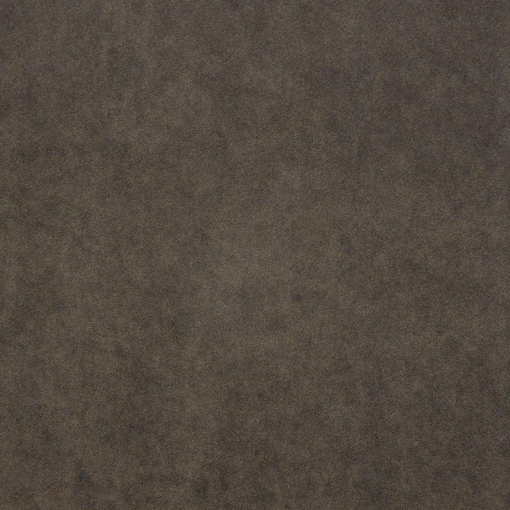 Palermo # 406 Moose by Maxwell Fabric Home & Garden-Act Vii 76% RECYLCED POLYESTER/24% POLYESTER (PILE: 100% SOLUTION-DYED RECYCLED POLYESTER) TURKEY 55" - Fabric Carolina -
