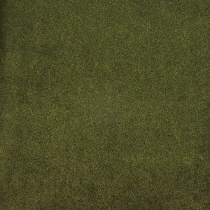 Palermo # 418 Olive by Maxwell Fabric Home & Garden-Act Vii 76% RECYLCED POLYESTER/24% POLYESTER (PILE: 100% SOLUTION-DYED RECYCLED POLYESTER) TURKEY 55" - Fabric Carolina -