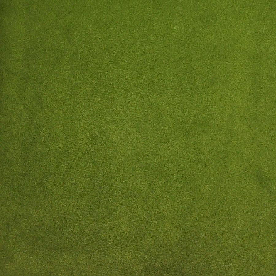 Palermo # 419 Lime by Maxwell Fabric Home & Garden-Act Vii 76% RECYLCED POLYESTER/24% POLYESTER (PILE: 100% SOLUTION-DYED RECYCLED POLYESTER) TURKEY 55" - Fabric Carolina -
