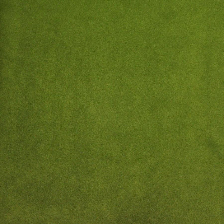 Palermo # 419 Lime by Maxwell Fabric Home & Garden-Act Vii 76% RECYLCED POLYESTER/24% POLYESTER (PILE: 100% SOLUTION-DYED RECYCLED POLYESTER) TURKEY 55" - Fabric Carolina -