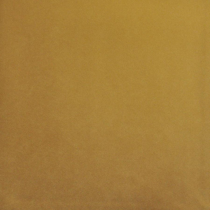 Palermo # 423 Butter by Maxwell Fabric Home & Garden-Act Vii 76% RECYLCED POLYESTER/24% POLYESTER (PILE: 100% SOLUTION-DYED RECYCLED POLYESTER) TURKEY 55" - Fabric Carolina -