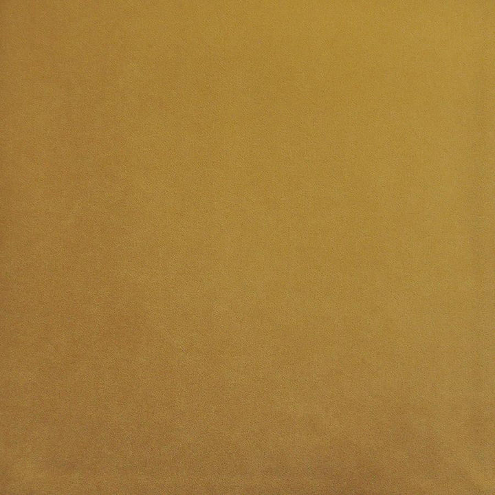 Palermo # 423 Butter by Maxwell Designer Fabric Home & Garden-Act Vii 76% RECYLCED POLYESTER/24% POLYESTER (PILE: 100% SOLUTION-DYED RECYCLED POLYESTER) TURKEY 55" - Swanky Fabrics -