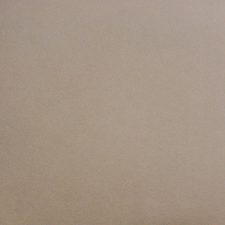 Palermo # 426 Pale by Maxwell Fabric Home & Garden-Act Vii 76% RECYLCED POLYESTER/24% POLYESTER (PILE: 100% SOLUTION-DYED RECYCLED POLYESTER) TURKEY 55" - Fabric Carolina -