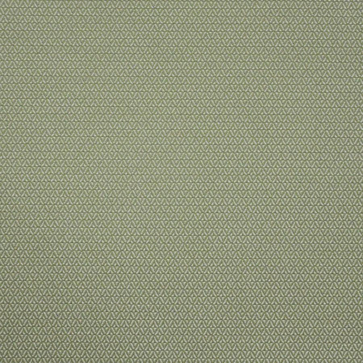 Putney # 646 Basil by Maxwell Designer Fabric Home & Garden-Act Vi 100% OUTDURA SOLUTION-DYED ACRYLIC USA 54" - Swanky Fabrics -