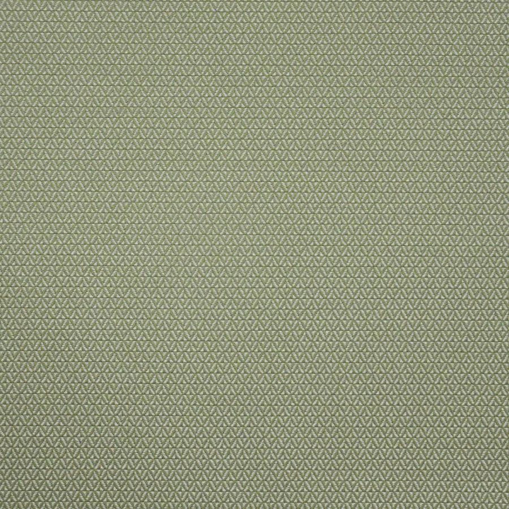 Putney # 646 Basil by Maxwell Fabric Home & Garden-Act Vi 100% OUTDURA SOLUTION-DYED ACRYLIC USA 54" - Fabric Carolina -