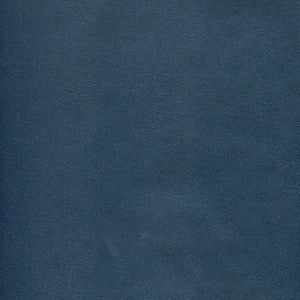 Potion-Nj # 572 December by Maxwell Fabric