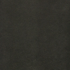 Potion-Nj # 580 Carbon by Maxwell Fabric