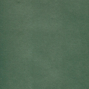 Potion-Nj 582 Aloe by Maxwell Fabric
