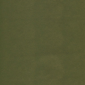 Potion-Nj 585 Poblano by Maxwell Fabric