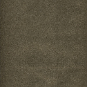 Potion-Nj # 592 Iron by Maxwell Fabric