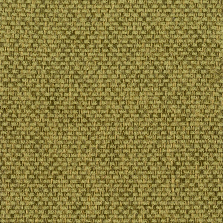Palisade 5 Seedling by Crypton Fabric PERFORMANCE SOLIDS BY CRYPTON HOME 100%POL CHINA PERFORMANCE RATED FABRIC WYZENBEEK 51 000 DOUBLE RUB WEAR TEST (HEAVY DUTY) FLAME RETARDANT-U.F.A.C. CLASS 1 FLAME RETARDANT-N.F.P.A. 260A CLASS 1 CATB 117-2013 Horizontal: 0 and Vertical: 0 54 in - Fabric Carolina -