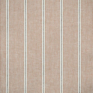 Partition # 727 Terracotta by Maxwell Fabric