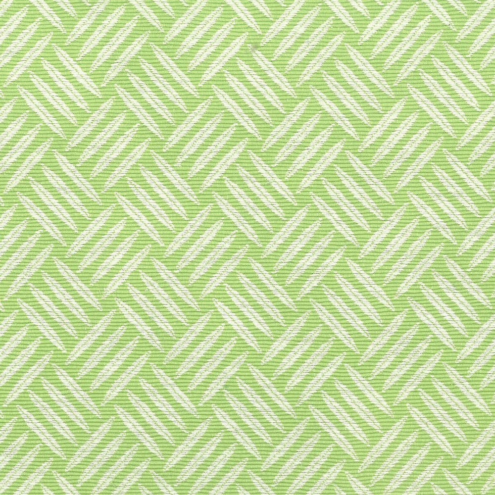 Panama 1 Dill by Stout Fabric RAINBOW LIBRARY GRAPE/PEAR 55%COT 45%POL TAIWAN WYZENBEEK 50 000 DOUBLE RUB WEAR TEST (HEAVY DUTY) </p><p>Repeat: 1.25 54 in - Fabric Carolina -